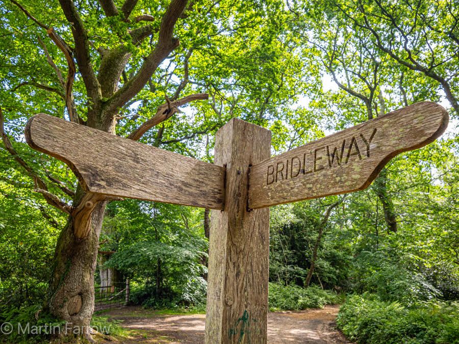fingerpost in new forest